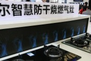 以春兰壁挂炉自动熄火原因分析（探究春兰壁挂炉自动熄火的原因及解决方法）