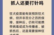 安卓手机抓人操作步骤是什么？需要注意什么？