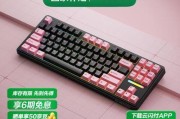 顺滑安静的键盘有哪些品牌？它们的特点是什么？