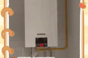 智能电子壁挂炉漏水解决方案（应对智能电子壁挂炉漏水问题的实用方法）