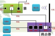 路由器安装时网线如何放置？正确的步骤是怎样的？