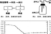 鱼缸散热器制作教程在哪里找？制作过程中需要注意什么？