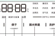 分析伊莱克斯洗衣机无法甩干的原因及解决方法（解决伊莱克斯洗衣机无法甩干的常见问题和技巧）