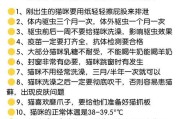 洗衣机旁猫叫是何原因？如何让猫安静？