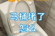 马桶堵了的快速疏通方法（马桶堵了怎么办）