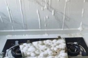 如何高效清洁康宝油烟机上的油垢（轻松清洗油烟机）