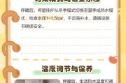以壁挂炉正确排气的重要性（壁挂炉排气系统的设计与操作）