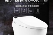 为什么以法恩莎马桶冲不干净（探究冲不干净的原因与解决方法）