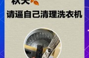小洗衣机发臭的原因及解决方法（解决小洗衣机异味问题的实用技巧）