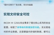 以理光复印机测试打印代码的效能分析（探究以理光复印机的打印速度）