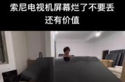 索尼液晶电视维修方法大揭秘（全面解析索尼液晶电视常见问题的维修技巧）