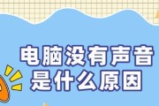 电脑播放节目单声音问题？解决方法有哪些？