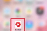 如何向西瓜视频退款呢苹果手机？退款流程是怎样的？