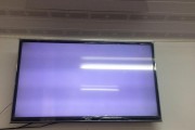 家用电视机黑屏故障排除方法（解决电视机黑屏问题的有效措施）
