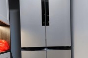 西门子冰箱漏电故障特征解析（了解西门子冰箱漏电故障的特征与预防方法）