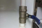 热水器水闸不打开的解决方法（快速排除热水器水闸故障，恢复热水供应）