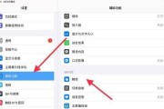 苹果平板搞机模式如何开启？设置步骤详细吗？