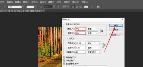 如何调整视频画面尺寸（简单实用的方法教程）