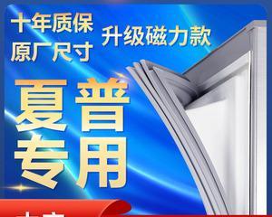 冰箱皮条清洗技巧（轻松清洁冰箱皮条）