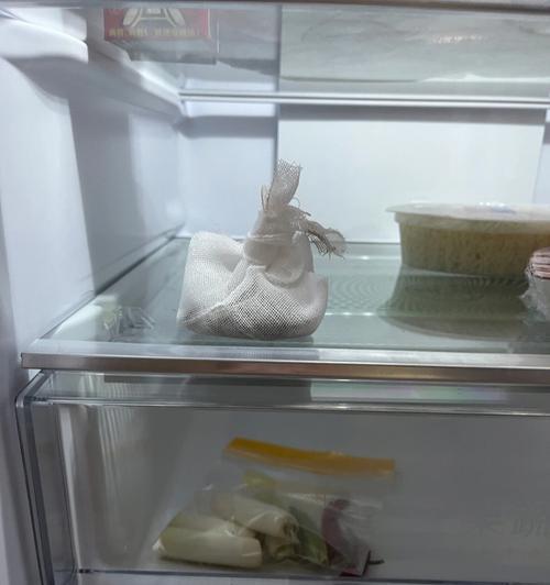 去除冰箱异味的有效方法（清除冰箱异味）