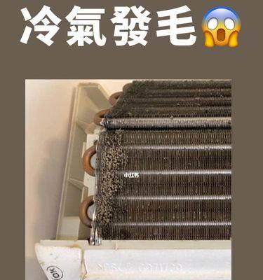 消除空调发霉味的有效方法（清除空调内部霉菌）