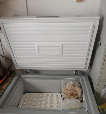 冰柜内漏拆卸方法（掌握冰柜维修技巧）