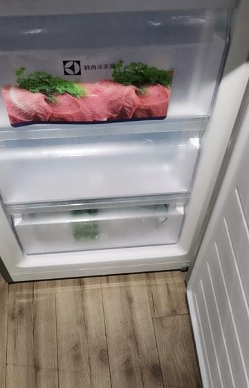 解决伊莱克斯冰箱E0故障的方法（了解伊莱克斯冰箱E0显示的原因及故障解决方法）