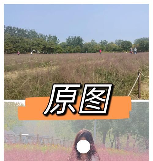 手机三倍拍照参数如何调整？