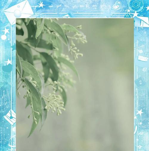 商用黄油相机怎么用手机拍照？拍照技巧和功能介绍是什么？