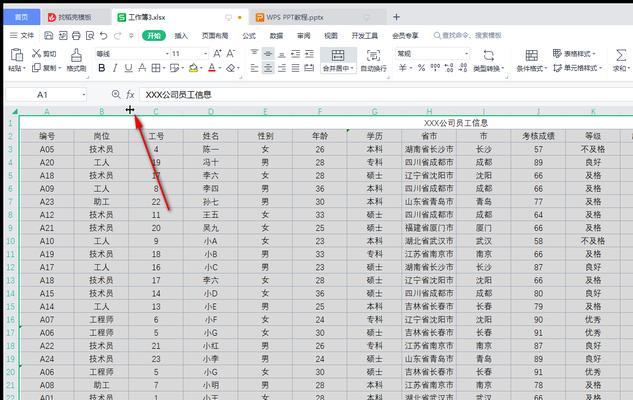 WPS电脑文件配置设置方法是什么？