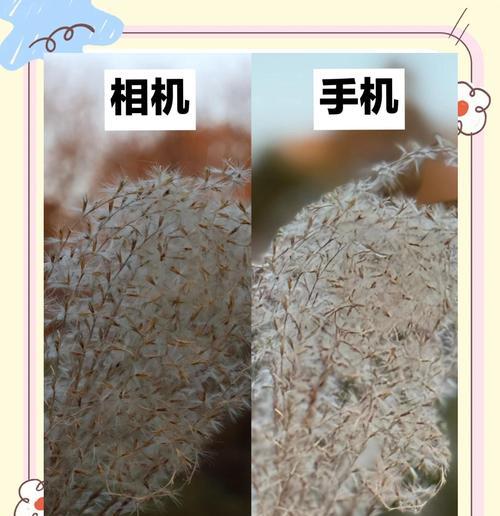 手机如何使用相机双焦镜头拍照？