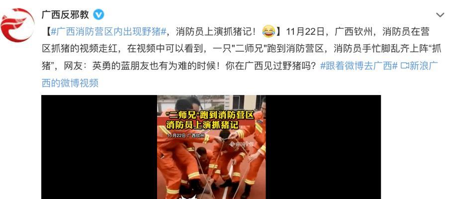 驱赶野猪音箱使用方法是什么？