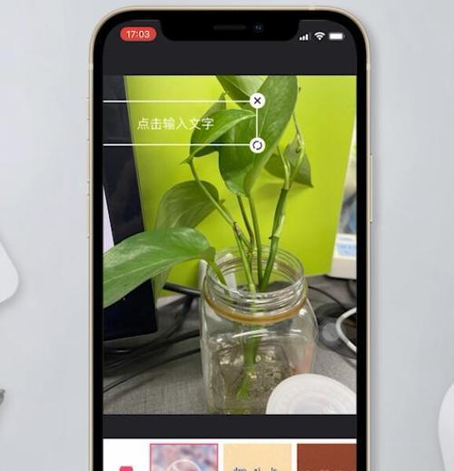 苹果手机如何添加杂志风格的照片？操作步骤是什么？