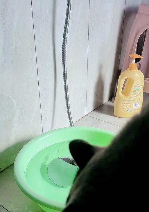音速猫摄像头手机查看方法是什么？