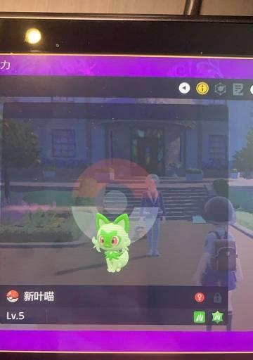 音速猫摄像头手机查看方法是什么？