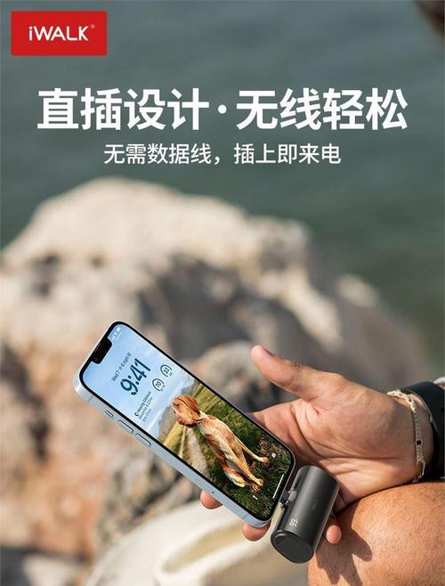 思雨苹果充电器的品牌是什么？
