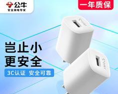 单线苹果充电器插头的名称是什么？如何选择合适的插头？