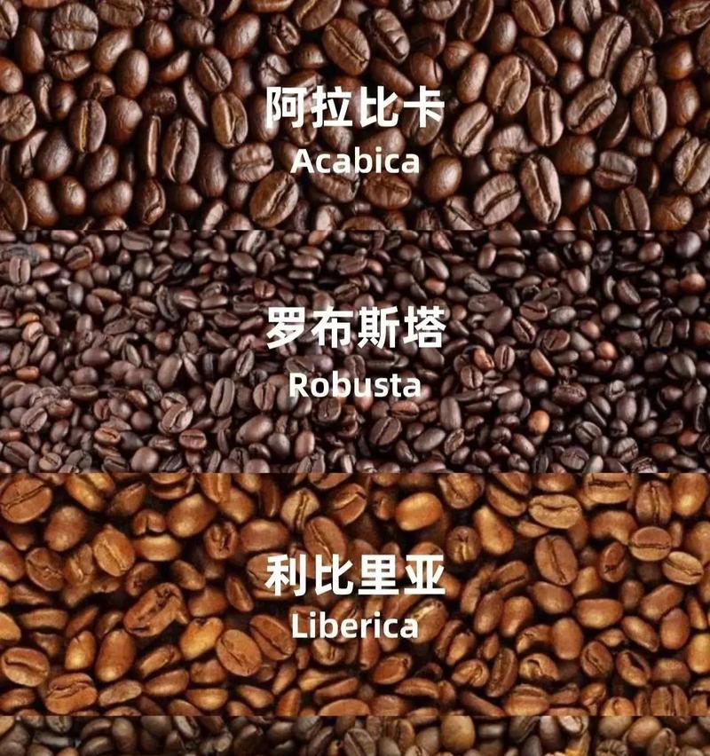 卡豆苹果手机下载步骤？