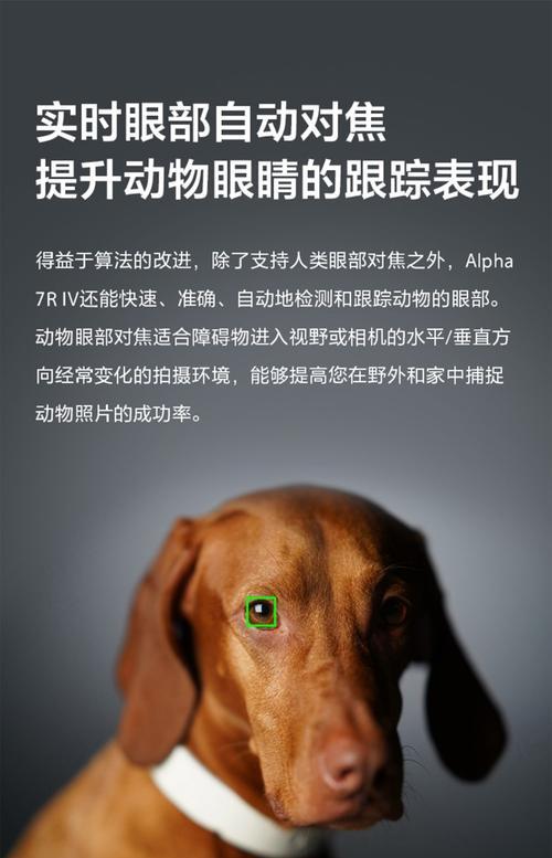 索尼相机衰落的原因是什么？未来发展趋势如何？