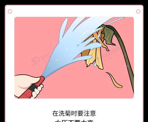 男士温水袋充电器的使用方法是什么？使用时有哪些注意事项？