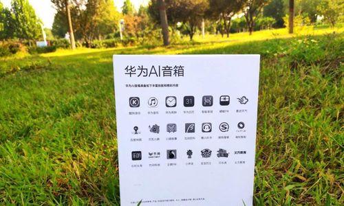 华为音箱网络设置的具体步骤是什么？