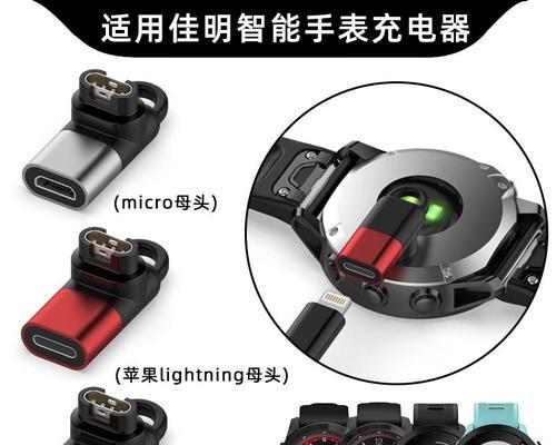 佳明充电器功能解释是什么？