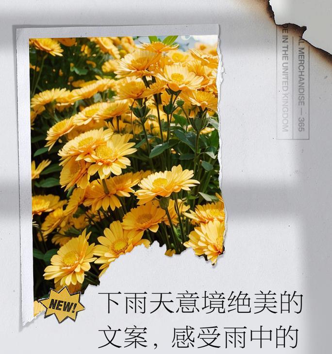 如何撰写窗户测音箱的文案？