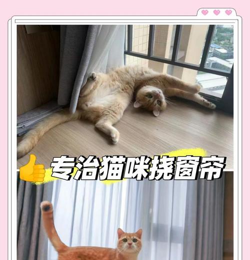 不用网关的窗帘有哪些实用选择？