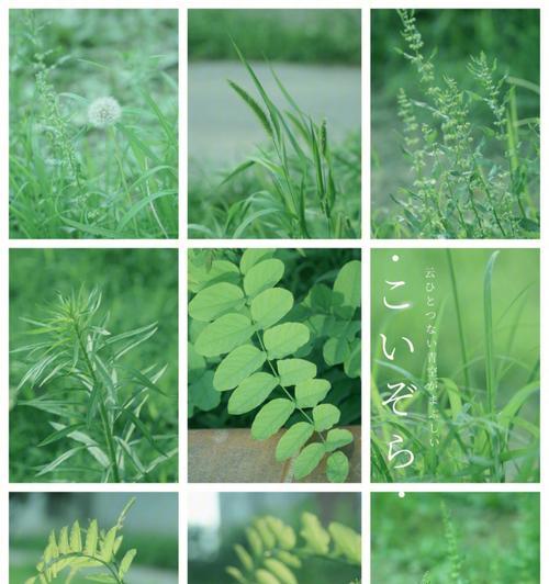 秋收调色苹果手机推荐软件是什么？如何使用这些软件进行调色？