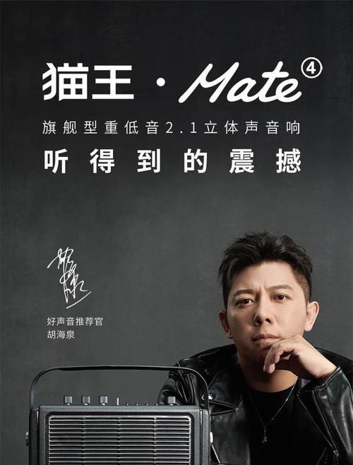 猫王音箱低音炮使用方法？如何调整低音效果？