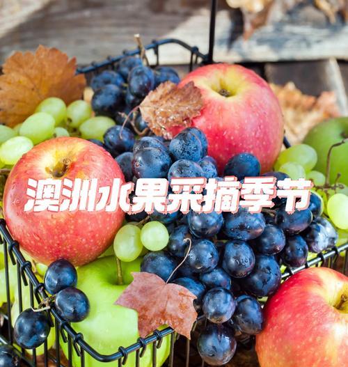 拍果园采摘用什么手机软件？如何选择最佳应用？