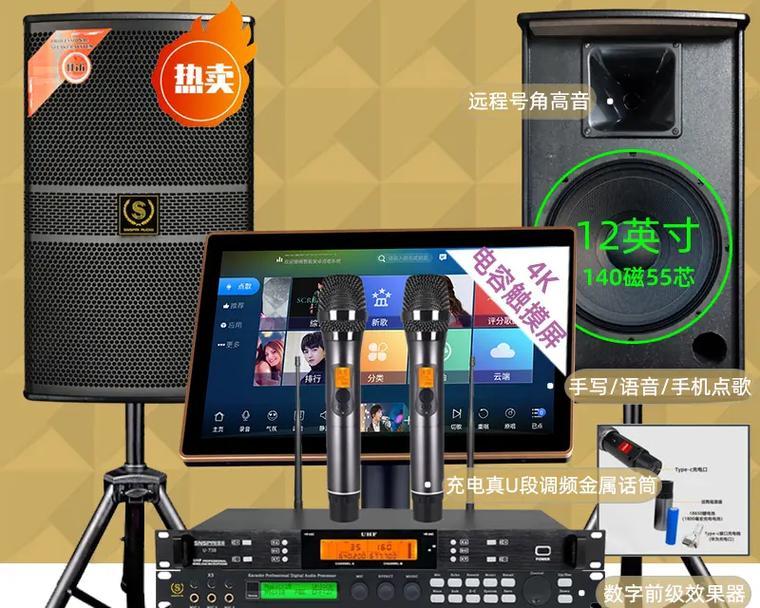 廉江哪里有品牌音响店？