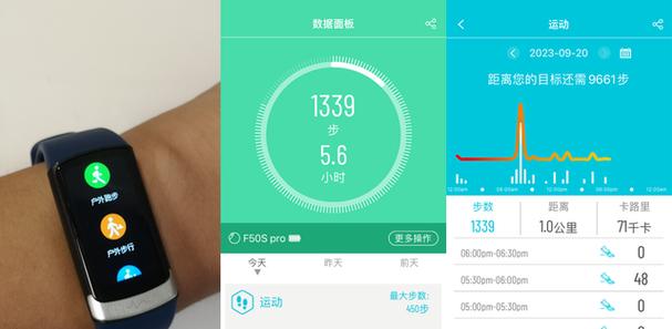 智能手表的健康管理功能如何激活？有哪些健康管理选项？