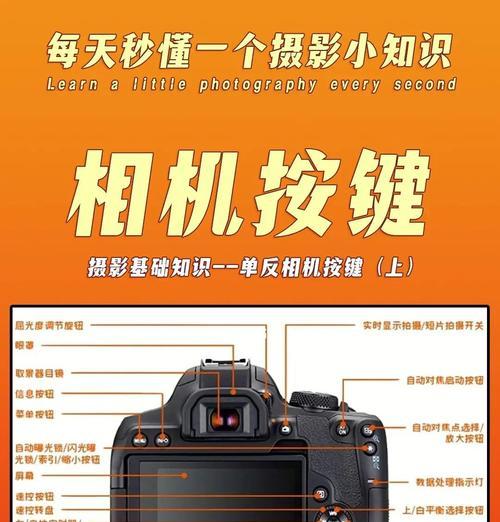 佳能相机读卡手机操作步骤是什么？遇到问题如何解决？
